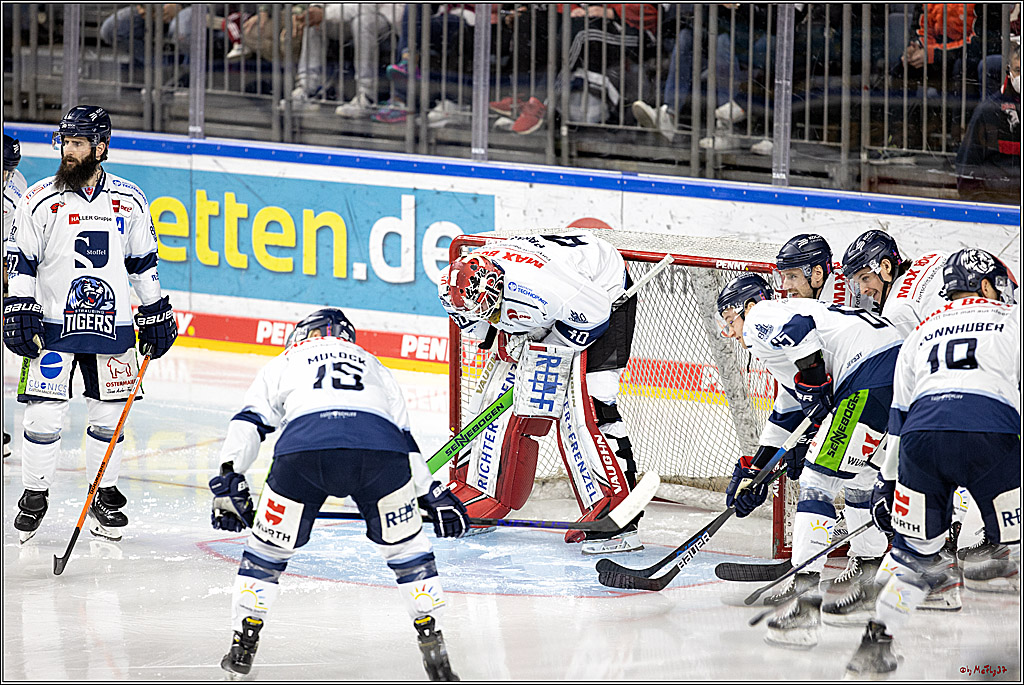 PENNY DEL;  Koelner Haie - Straubing Tigers; Koeln, 11.03.2022